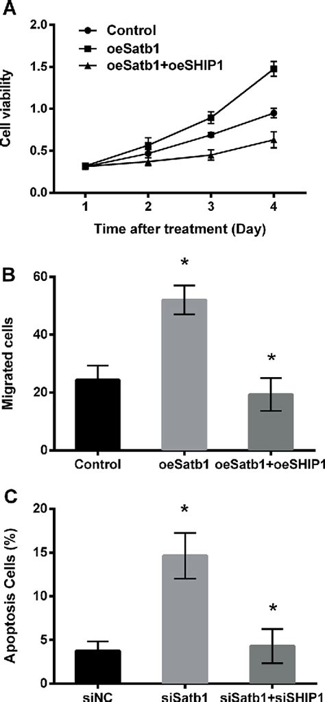 Figure From Satb Promotes Schwann Cell Viability And Migration Via