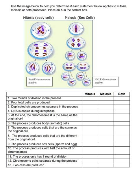 Solved Text Use The Image Below To Help You Determine If Each