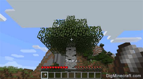 How To Make Birch Leaves In Minecraft