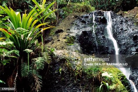 79 Waterfall Figi Stock Photos, High-Res Pictures, and Images - Getty Images