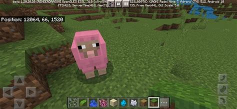 Rare Pink sheep!!!! : r/Minecraft