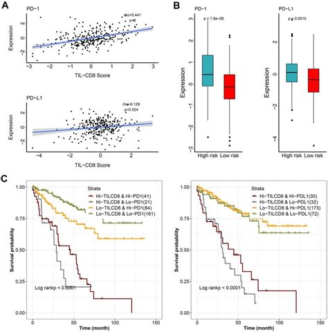 The Effect Of Til Cd Sig And Immune Checkpoint Gene Expression On