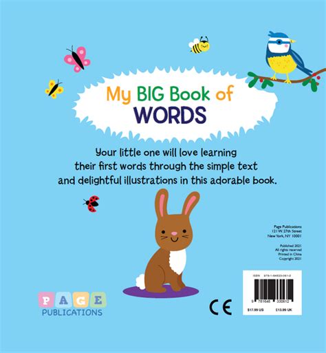 My Big Book Of Words – BookXcess