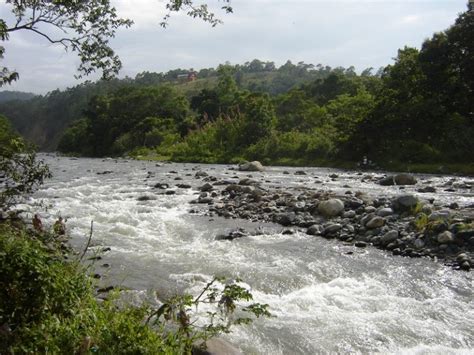 río Fundéu Guzmán Ariza