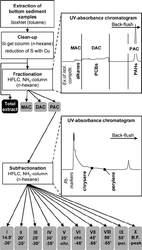 Flow Chart Illustrating Extraction Clean Up Fractionation And Download Scientific Diagram