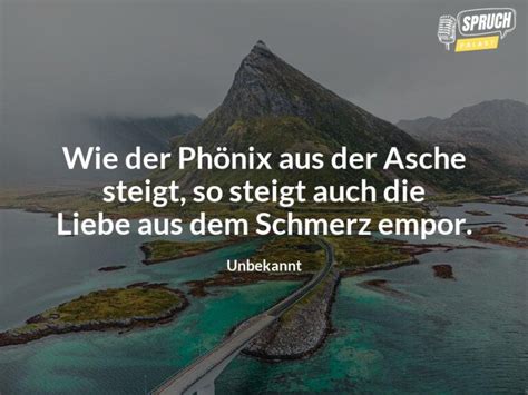 Steige Wie Der Ph Nix Aus Der Asche Auf Inspirierende Spr Che F R