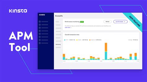 Kinsta APM Tool Application Performance Monitoring Tool