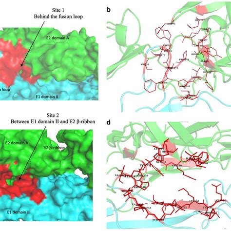 Structure Of The Mature Envelope Glycoprotein Complex E1E2 Of CHIKV