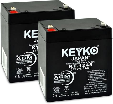 Razor E100e125v16 E150 V6 E175 V1 And Espark Scooter Battery 12v 45ah