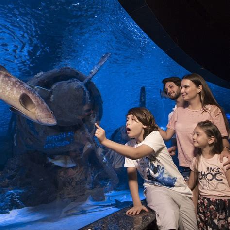 Antalya Aquarium Von Side Transfer Und Ticket Tour Jetzt Buchen