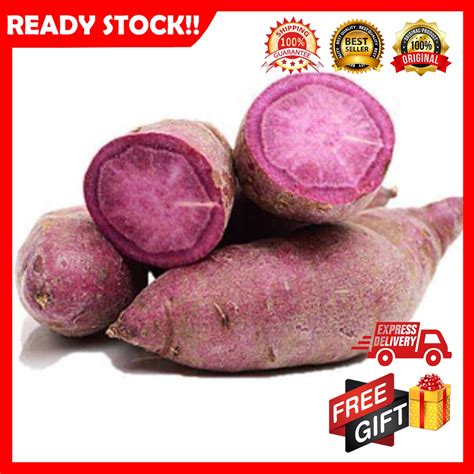 FREE GIFT Ubi Keledek MADU Kuning PURPLE OREN Sweet Potato