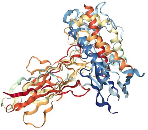 Growth Hormone Receptor Protein Overview Sino Biological