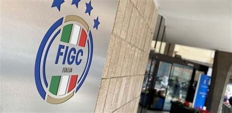 Patteggiamento Nel Codice Di Giustizia Sportiva Figc Art