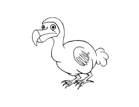 How To Draw A Dodo Bird At How To Draw