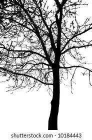 Vector Drawing Big Naked Winter Tree Stock Vector Royalty Free Shutterstock