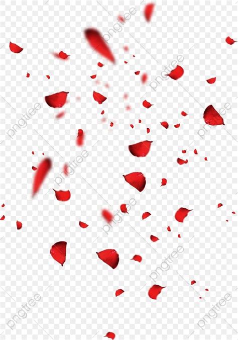 Red Petals PNG Picture, Red Petals, Rose Petal, Falling Petals ...