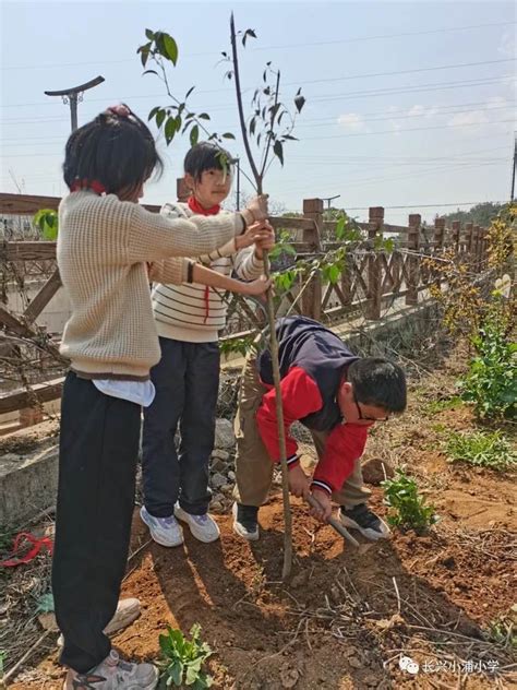 小浦小学：毕业植树 扎根母校 感恩启蒙 长兴教育资源公共服务平台