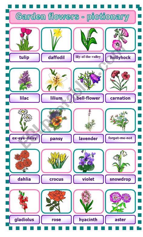 Garden Flowers Pictionary Esl Worksheet By Piszke