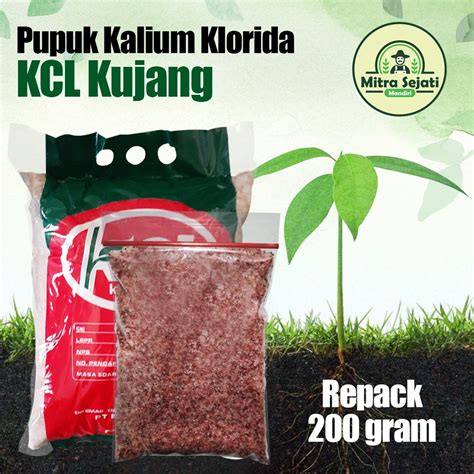 Jual Pupuk KCL Kujang 200 Gram Pupuk Kalium Klorida Dapat Memperkuat