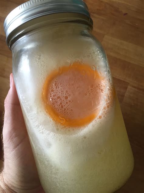 Homemade Gatorade — Renegade Kitchen