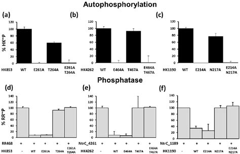 Kinase And Phosphatase Assays With Hiska Proteins T Maritima Hk853 And Download Scientific