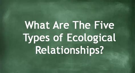 What Are The Five Types of Ecological Relationships?