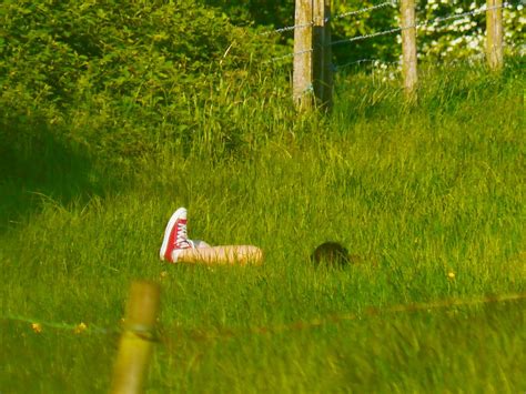 Girl Naked In Field Covertsnapper1 Flickr