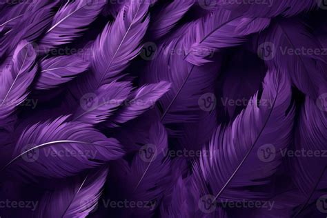 Purple Feathers Background Purple Feathers Pattern Feathers