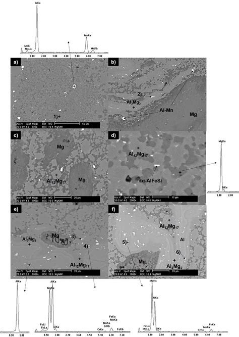 Sem Eds Analysis Of Phases Such Al3mg2 Al12mg17 Y α Alfesi Present In