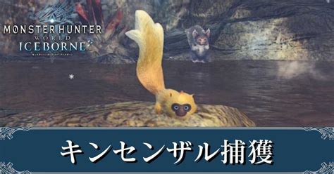 【mhwアイスボーン】キンセンザルの捕獲場所｜出現条件【モンハンワールド】｜ゲームエイト