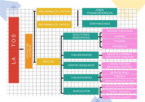 La Tos Mapas Conceptuales L A T O S Espiraci N Exposiva Mecanismo