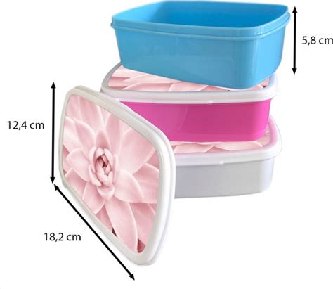 Broodtrommel Wit Lunchbox Brooddoos Bloem Roze Natuur Plant