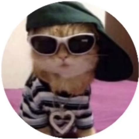 Round Icon Pfp Cute Cool Cat Hat Sunglasses Dressed Aesthetic Y2k Profile Picture Y2k Profile