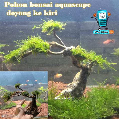 dekorasi aquascape pohon bonsai doyong ke kiri siap pasang | Lazada ...