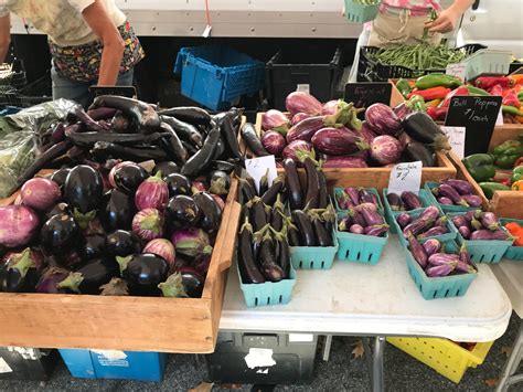 Takoma Park, MD Farmers Market | Farmers market, Decor, Wine rack