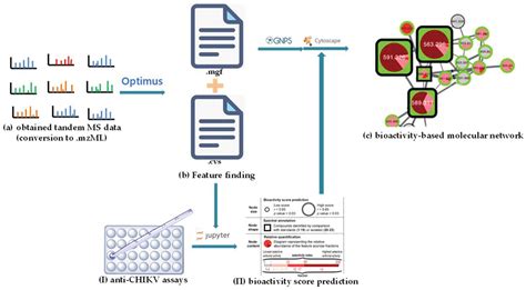 Molecules Free Full Text Msms Based Molecular Networking An Efficient Approach For Natural