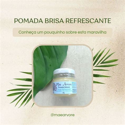 Mãe Árvore Alquimia Natural on Instagram Nossa pomada de Eucalipto