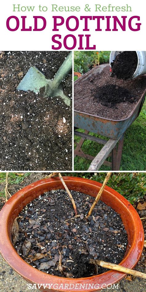 Can You Reuse Potting Soil Yes And Here S How In Vegetable