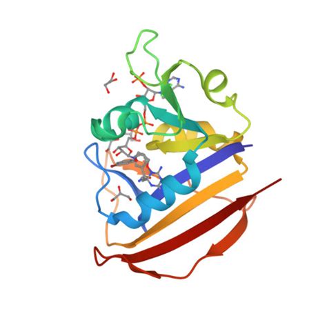 RCSB PDB 1DG7 DIHYDROFOLATE REDUCTASE OF MYCOBACTERIUM TUBERCULOSIS