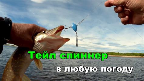 Тейл спиннер .В любую погоду - YouTube