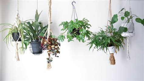 Best Stylish Indoor Hanging Planters 2023 Apartment Therapy Atelier