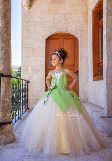 Princess and the Frog Costume, Princess Tiana Dress, Disney Inspired ...