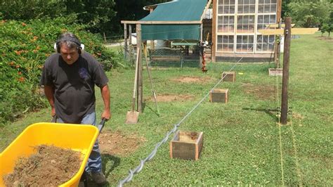 Blueberry Trellis And Electric Fence Youtube