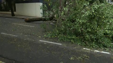 Vídeo Chuva causa estragos em Londrina Paraná G1