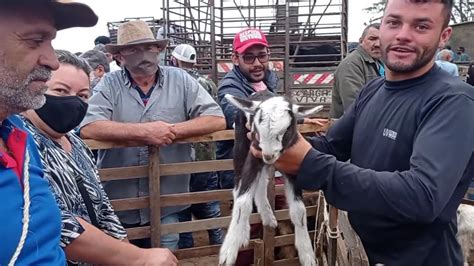 Feira De Animais De Campina Grande Para Ba Reprise Youtube