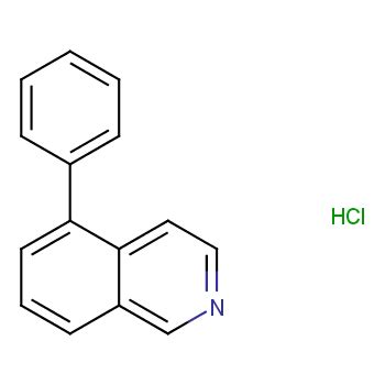 Isoquinoline 5 Phenyl Hydrochloride 1 1 24464 07 1 Wiki