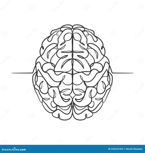 Continuous Line Drawing Of A Human Brain Stock Vector Illustration Of Disease Human 242232706