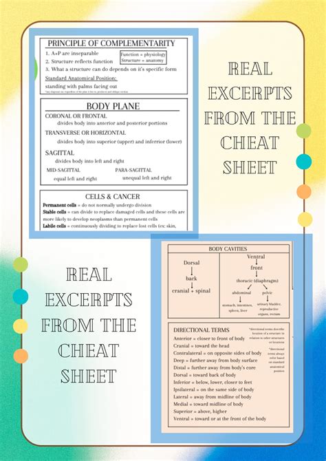 Medical Terminology Cheat Sheet Med Notes, Medical Assistant, Anatomy and Physiology, Mlt/mls ...