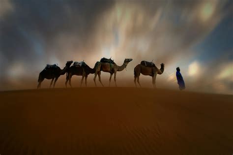 Person Camel Riding On Desert · Free Stock Photo