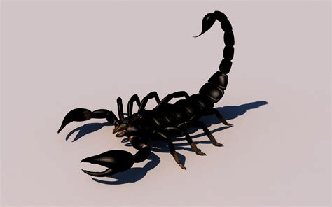 Scorpion 3d Model Rigged Cgtrader